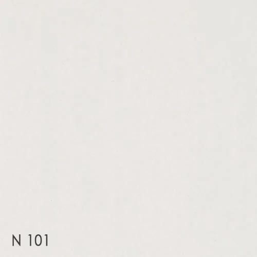 Color chip - N101
