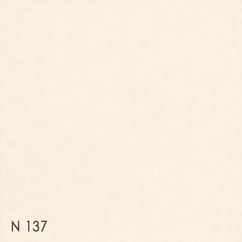 Color chip - N137