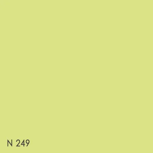 Color chip - N249(SOLID_2024)