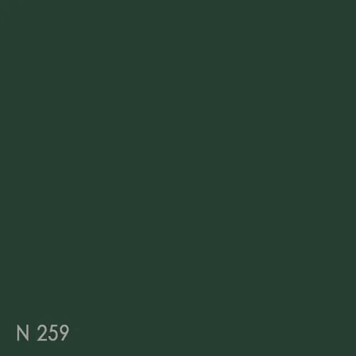 Color chip - N259(SOLID_2024)
