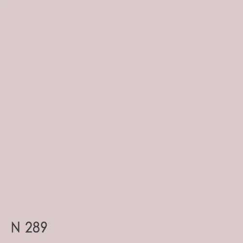 Color chip - N289(SOLID_2024)