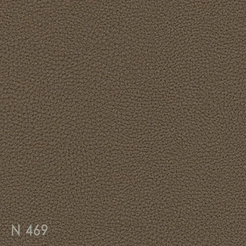 Other chip - N469(LEATHER)